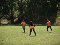 Tn dsc 0714